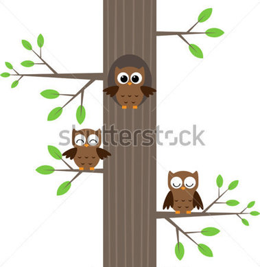 Browse   Animals   Wildlife   Tree Owls Sitting On A Tree With A Hole