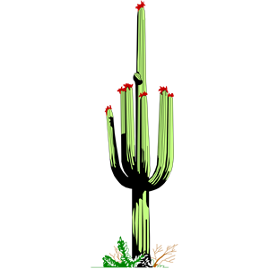 Cactus Clipart Cliparts Of Cactus Free Download  Wmf Eps Emf Svg