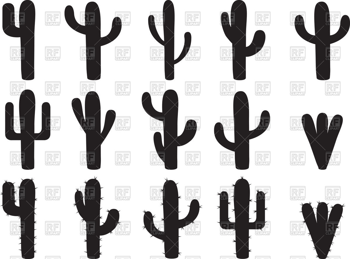Cactus Silhouette Png