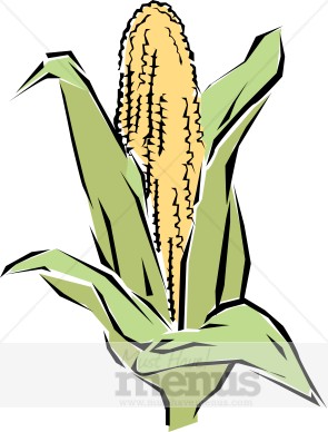 Corn Kernel Clipart Corn Clip Art