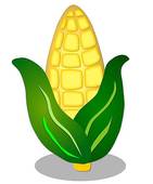 Corn Kernel Illustrations And