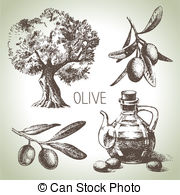 Hand Drawn Olive Set Vectors Illustration