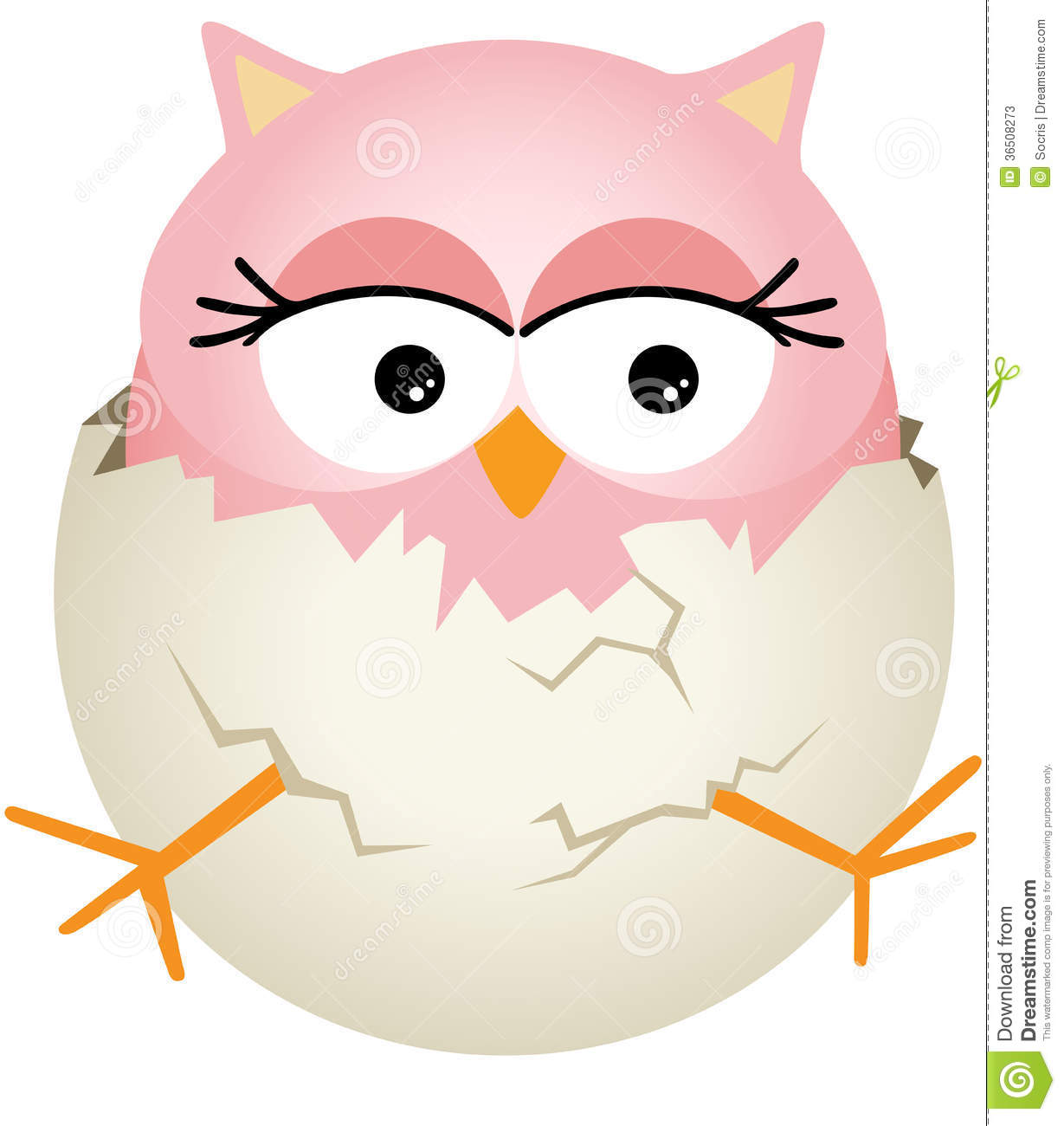 Image Representing A Pink Baby Owl In Egg Isolated On White