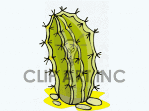 Plants Desert Cactus Cactuses Cactus71512gif Nature Clipart