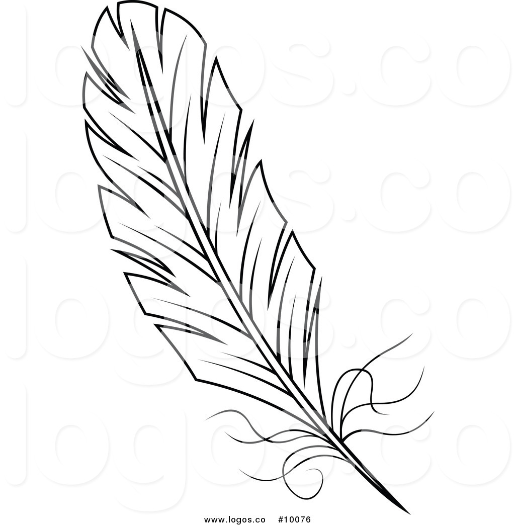 Related Pictures Feather Clip Art Black And White