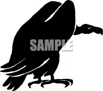Vulture Or Buzzard Silhouette   Clipart Panda   Free Clipart Images