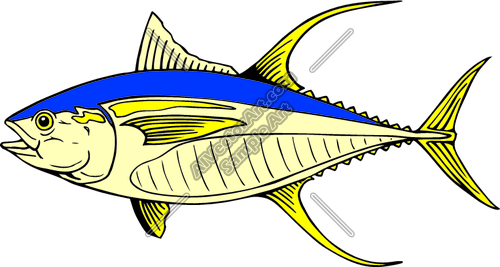 Yellowfin Tuna Fish Graphic Clipart And Vectorart  Sports   Fishing