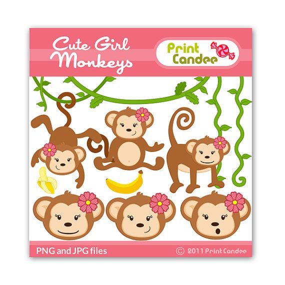 Cute Girl Monkeys   Digital Clip Art   Personal And Commercial Use