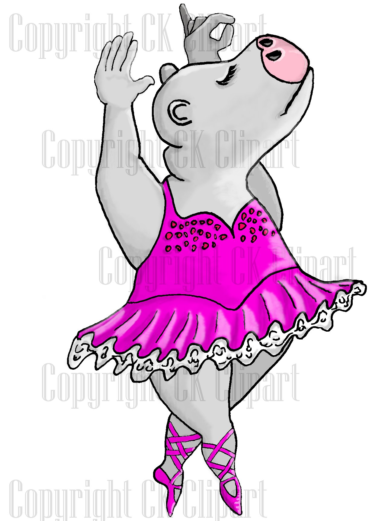Hippo Ballerina Twirling