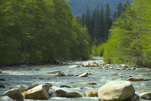 River Photo Clipart Image   Scene Showing A Tree Lined Mountain Stream    