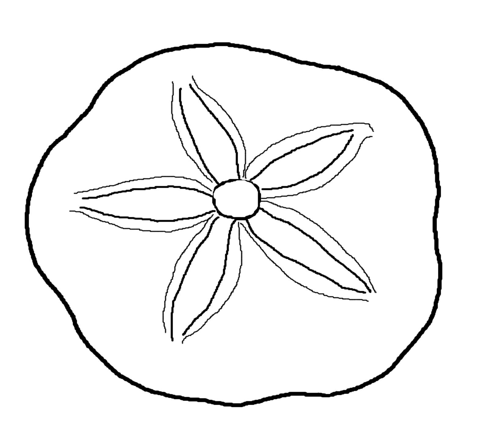 Sand Dollar Clipart Black And White   Clipart Panda   Free Clipart