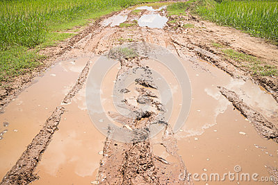 Wet Dirt Roads In The Rainy Season