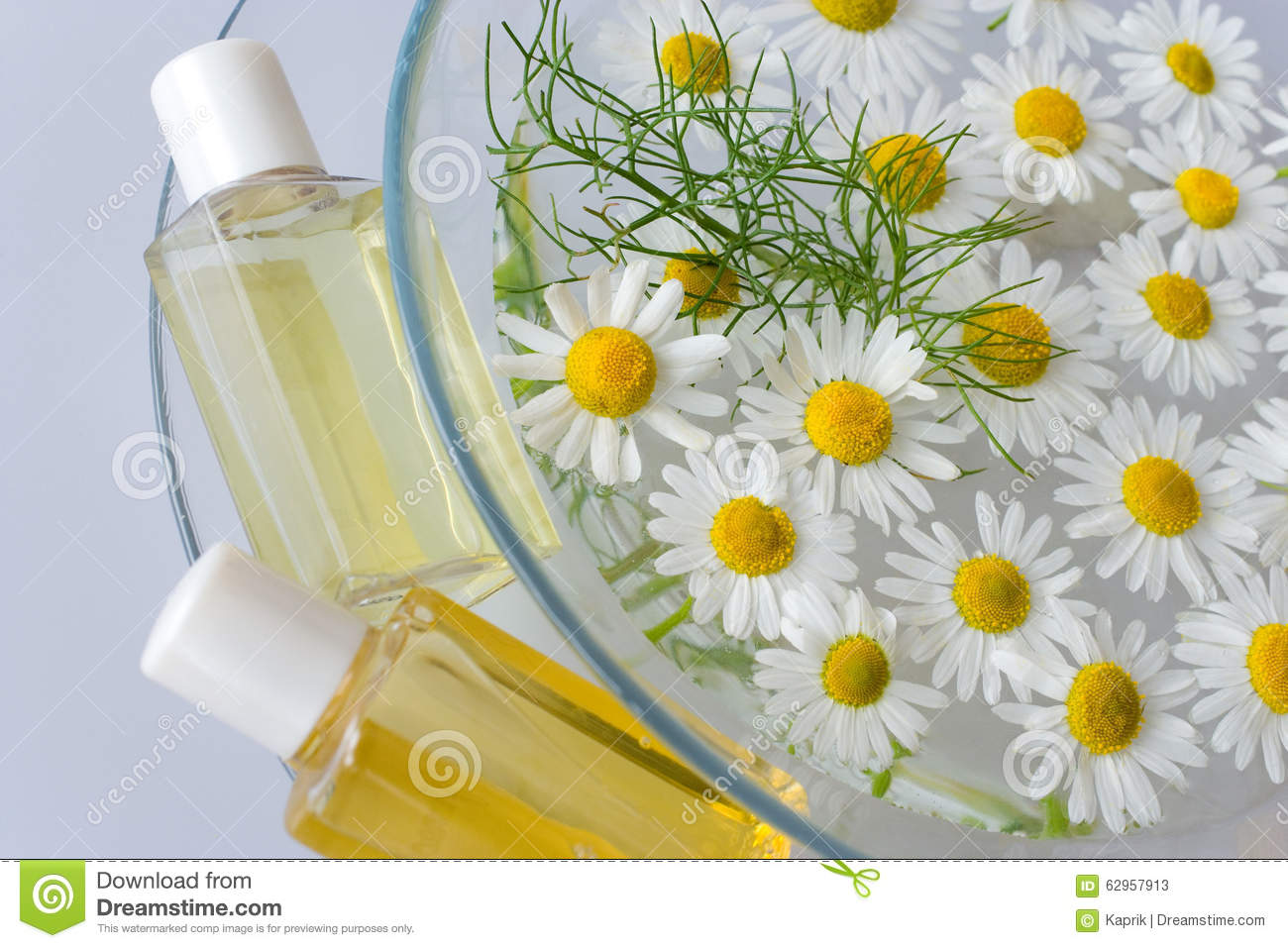 Aromatherapy   Herbal Healing Lotion   Camomile Flowers In The Water