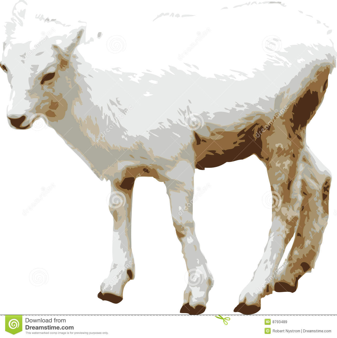 Baby Goat Clipart   Fun Time Website