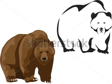 Download Source File Browse   Animals   Wildlife   Brown Bear