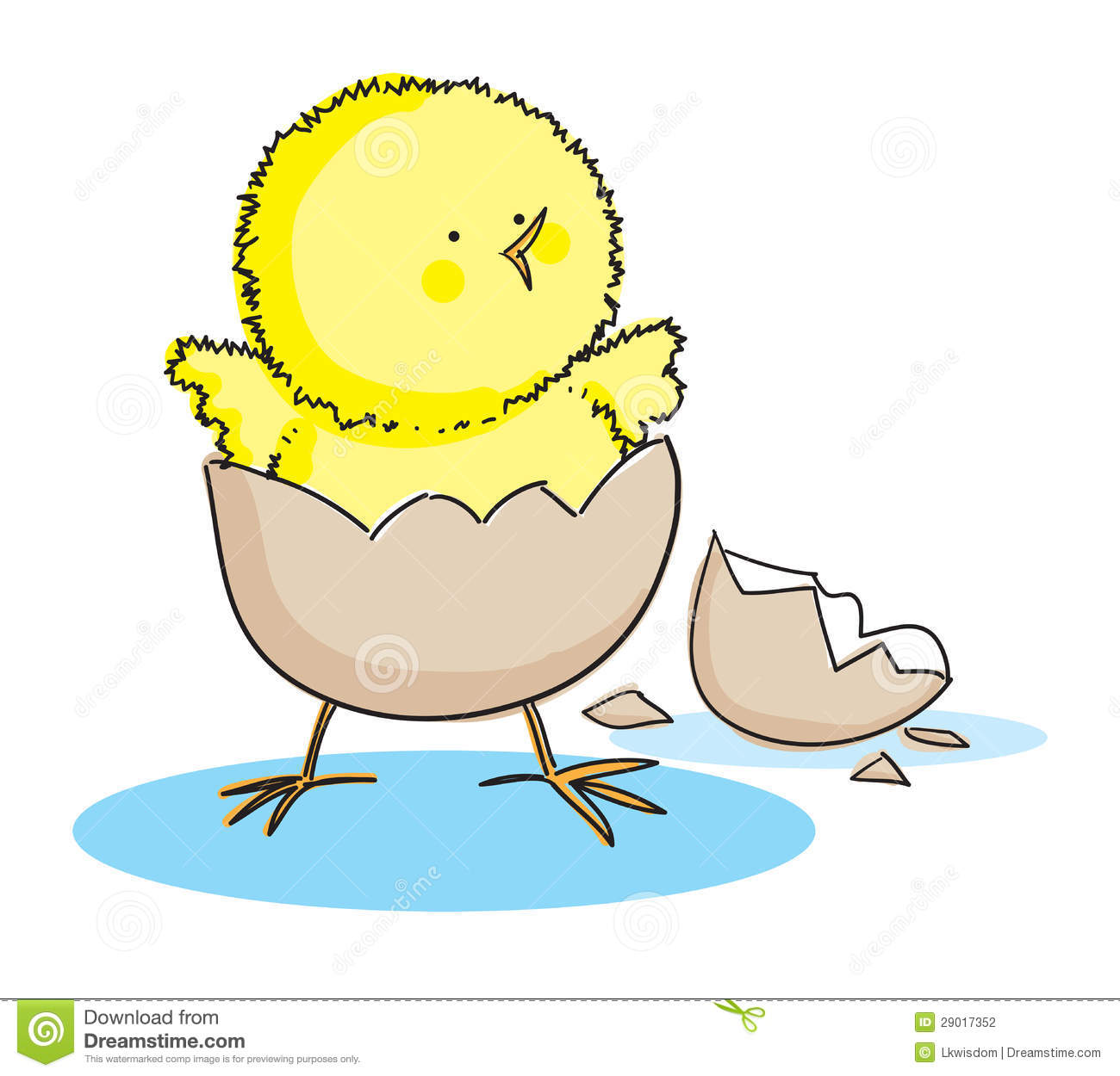Hand Drawn Picture Of A Hatching Easter Chick Illustrated In A Loose