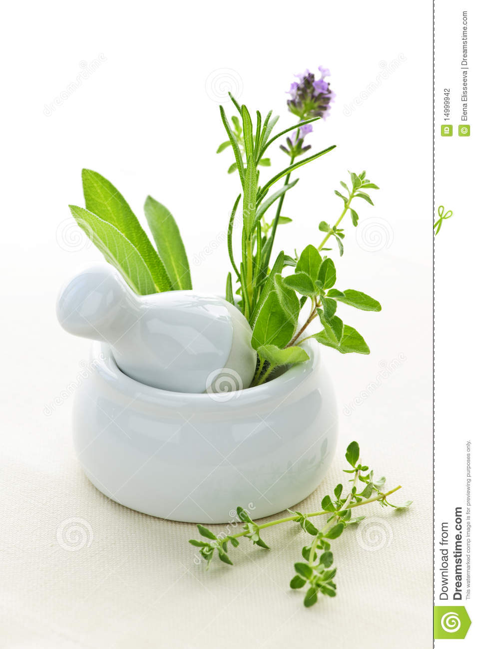 Healing Herbs In Mortar And Pestle Stock Photography   Image  14999942
