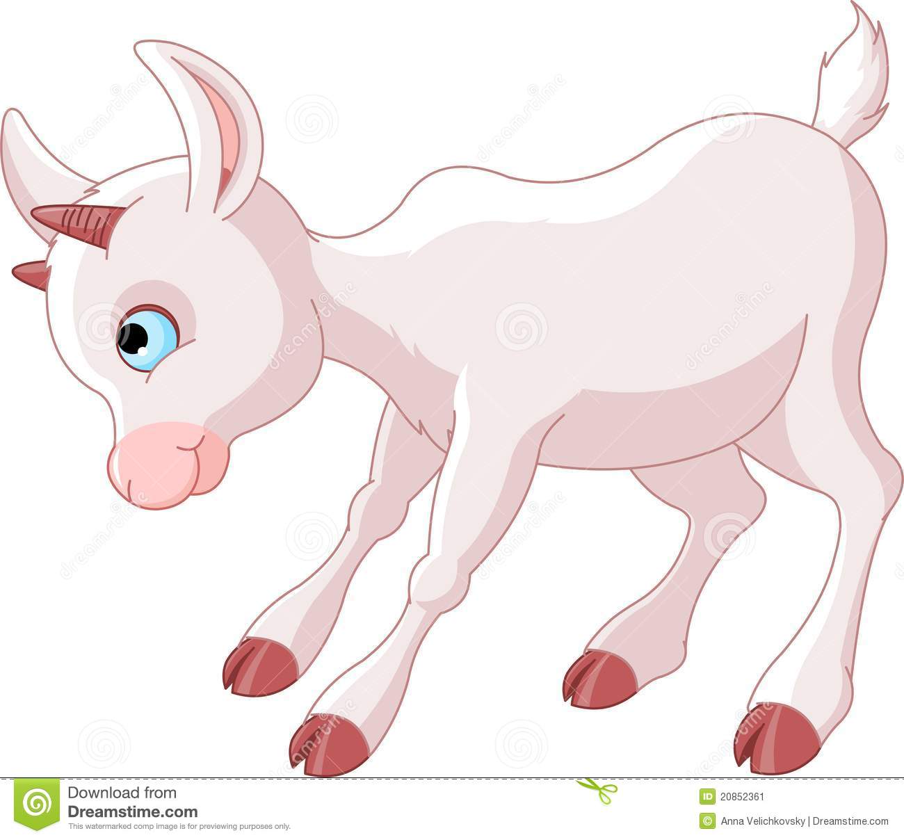 Little Baby Goat Stock Image   Image  20852361