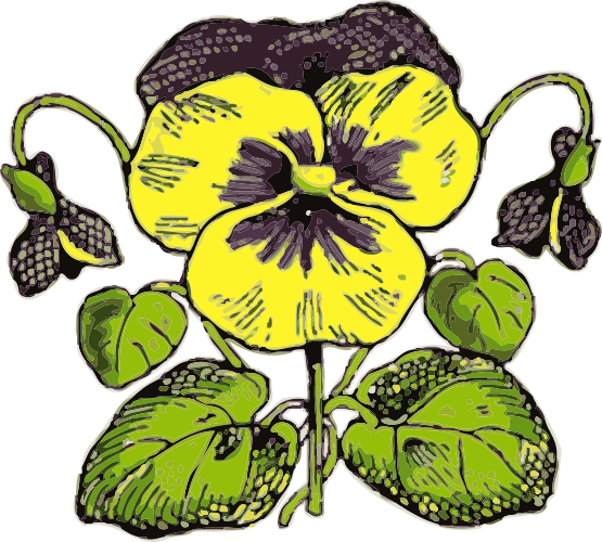Pansy Border   Clipart Best