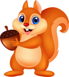 Squirrel Cartoon With Nut Stock Vector