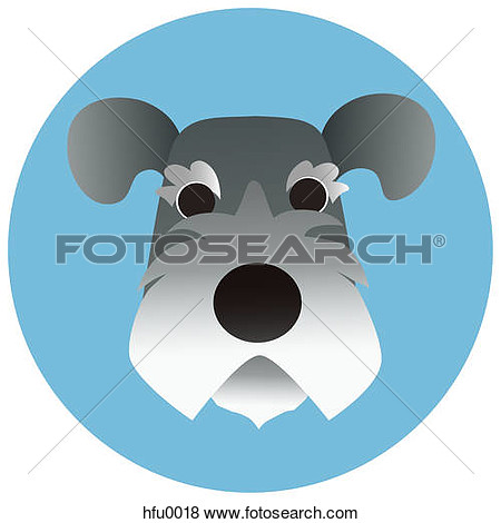 Stock Illustration Of A Schnauzer On A Blue Circular Background