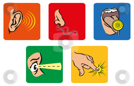 The 5 Senses Stock Vector Clipart Icons Representing The 5 Senses By