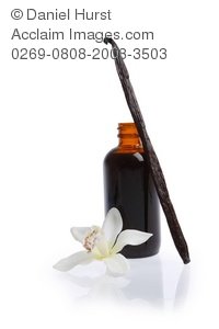 Vanilla Bottle Clipart Bottle Of Vanilla Extract And