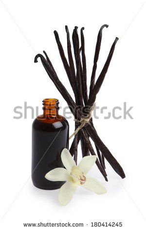 Vanilla Extract Bottle Clipart Stock Photo Vanilla Pods