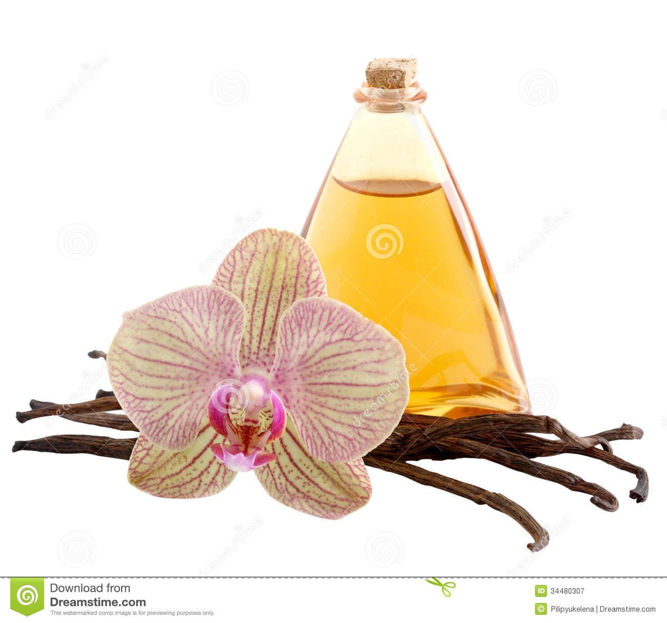 Vanilla Pods Flower And Bottle Royalty Free Stock Photography   Image