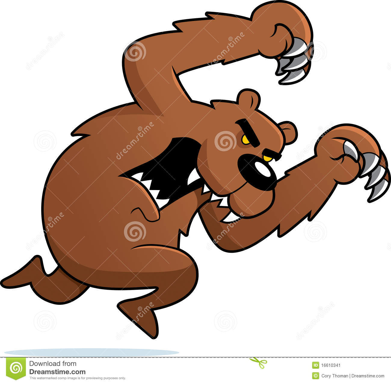 Angry Bear Attacking Stock Image   Image  16610341