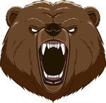 Angry Bear Head Mascot Angry Bear Head Mascot Illustration Angry Bear