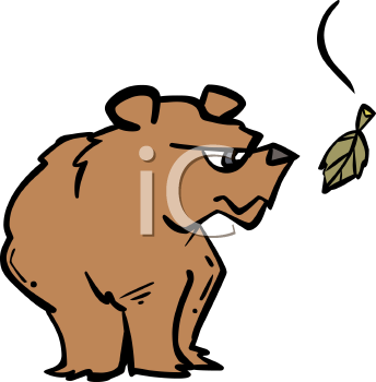 Angry Bear Looking At A Falling Leaf   Royalty Free Clipart Picture