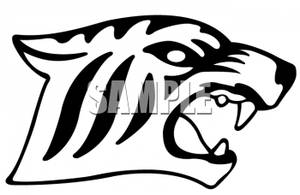 Black And White Tiger Mascot   Royalty Free Clipart Picture