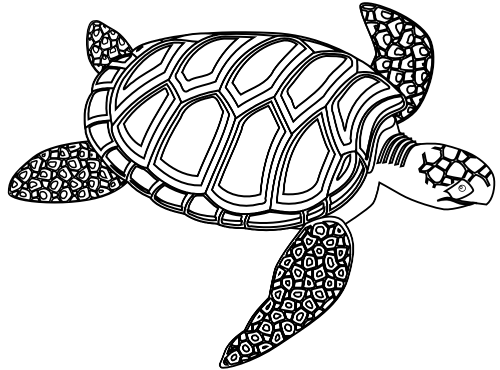 Clipart Black And White Valessiobrito Green Sea Turtle Black White