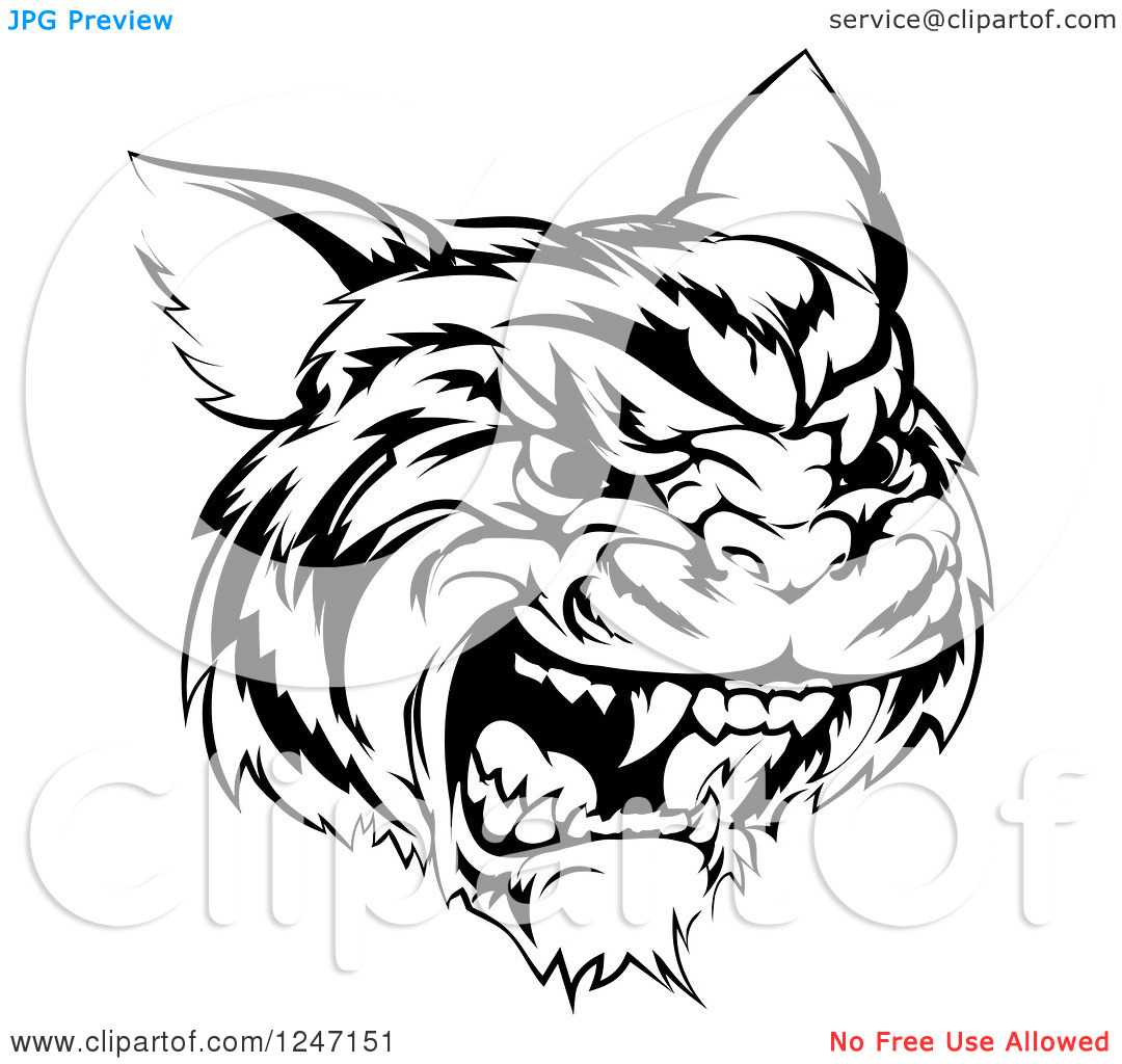 Clipart Of A Black And White Hissing Tiger Mascot Head   Royalty Free