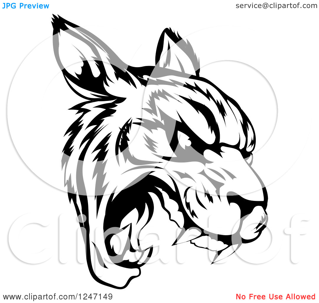 Clipart Of A Black And White Roaring Tiger Mascot Head   Royalty Free