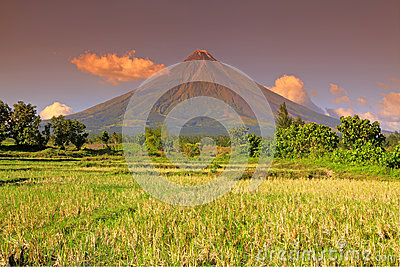 Philippines   Mayon Volcano Royalty Free Stock Image   Image  31049096