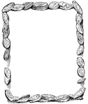 Search For Free Blank Picture Frame Clip Art   Clipart Etc