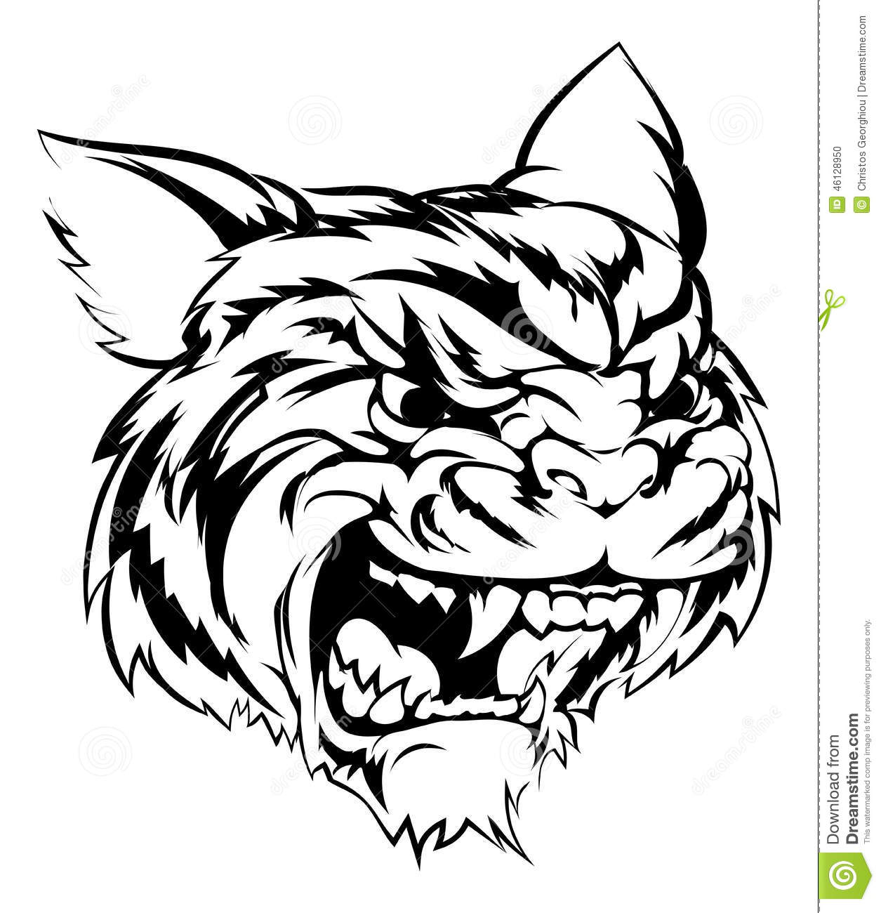 Tiger Mascot Character