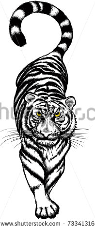 Tiger Mascot Stock Photos Images   Pictures   Shutterstock