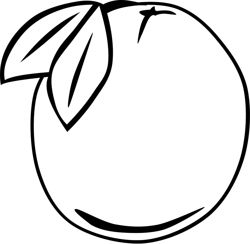 Fruit Coloring Pages 3 Fruit Coloring Pages 5 Fruit Coloring Pages 6