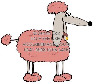 Pink Poodle Clipart   Free Clip Art Images