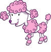 Pink Poodle Pictures