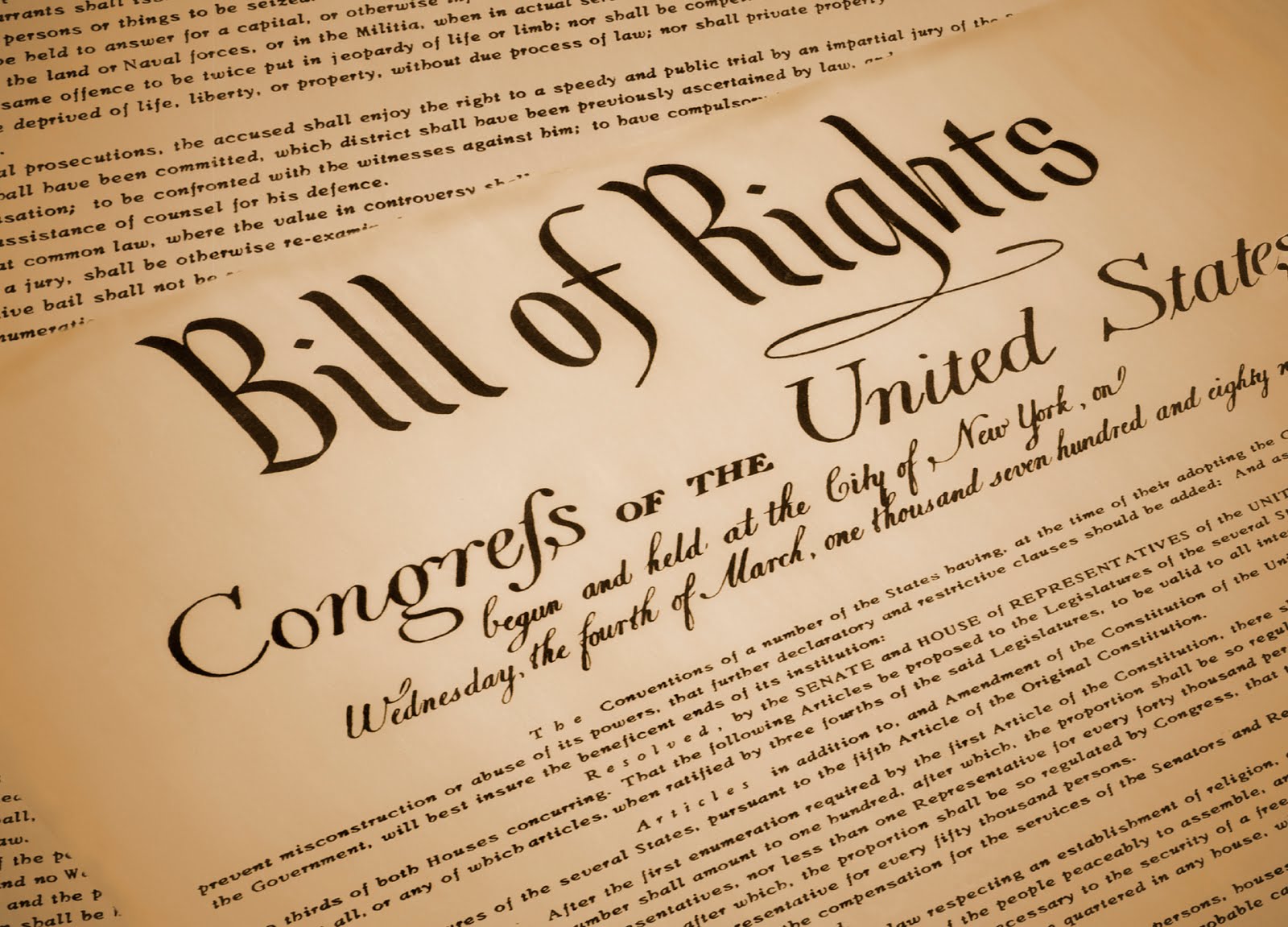 The Bill Of Rights  Violated   Wilsonncteaparty