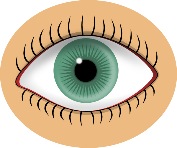 Blue Eye Clip Art At Clker Com   Vector Clip Art Online Royalty Free