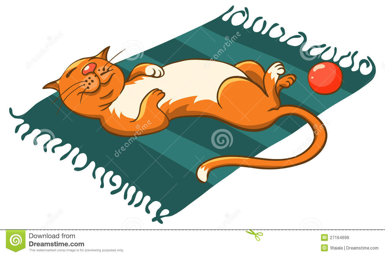 Cat On A Mat Royalty Free Stock Images   Image  27164699