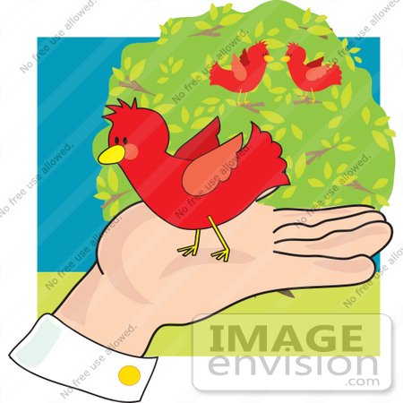 Clip Art Graphic Of A Gentle Man S Hand Holding A Red Cardinal Bird    