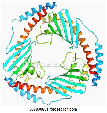 Clipart Protein Clipart   P32 Mitochondrial Matrix Protein  Fotosearch    