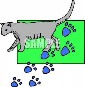 Grey Cat Walking On A Green Mat With Paw Prints On It   Royalty Free