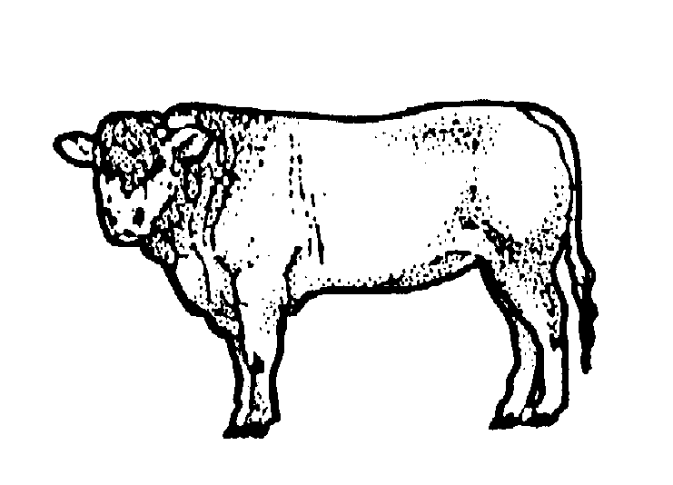 More Attention Cattle Clipart Non Exclusive Clipart Take One Of
